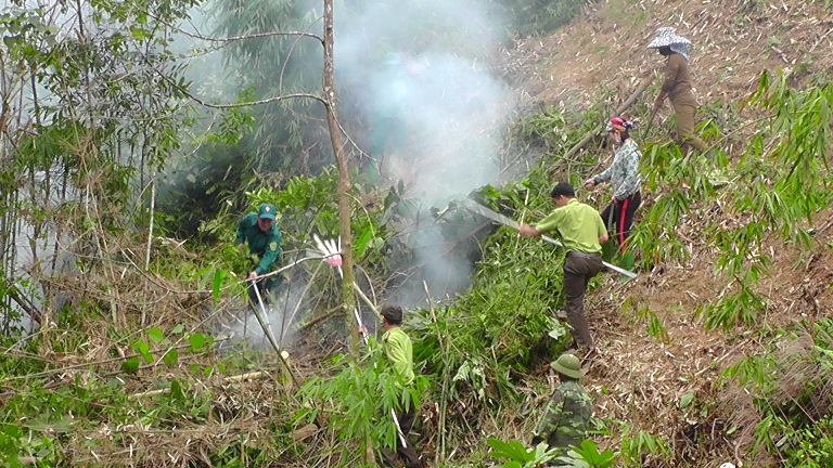 Diễn tập ứng phó phòng cháy, chữa cháy rừng tại huyện Trấn Yên.